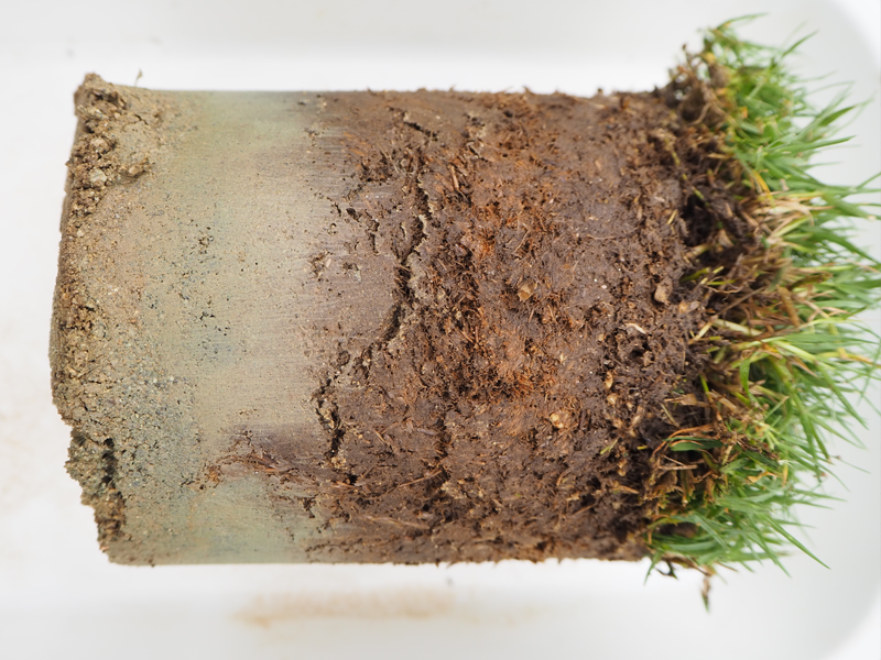 サンプリングされた芝生と土壌