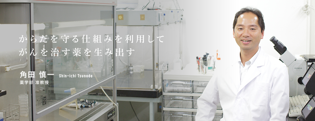 からだを守る仕組みを利用してがんを治す薬を生み出す　角田　慎一　薬学部　准教授