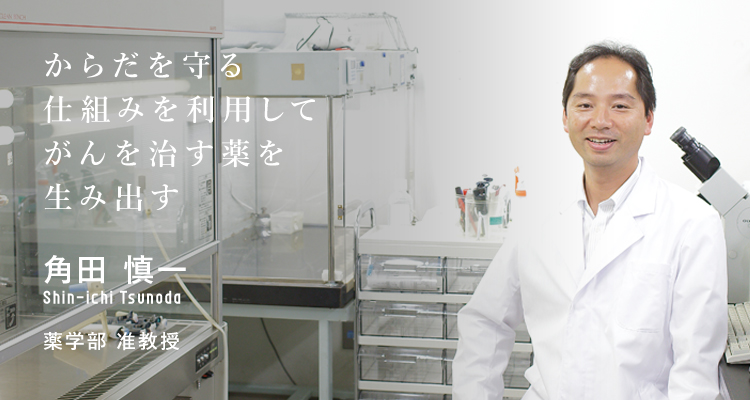 からだを守る仕組みを利用してがんを治す薬を生み出す　角田　慎一　薬学部　准教授
